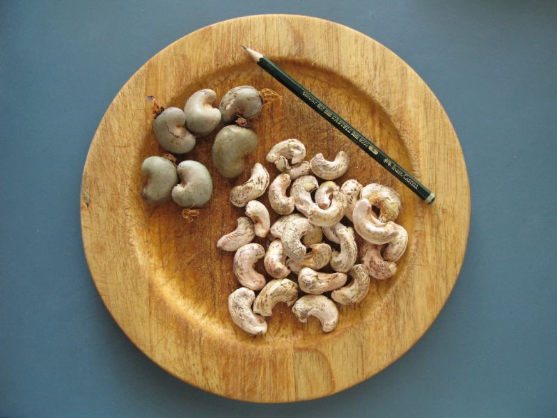 Datei:Cashewkerne.JPG