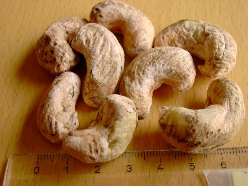 Datei:Cashewkerne, Grossaufnahme.JPG