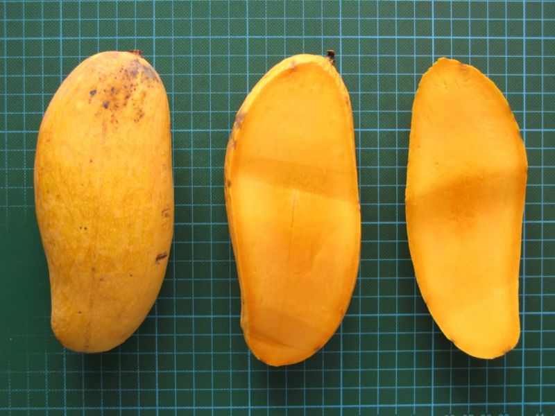 Datei:Mango Mahachanok.JPG