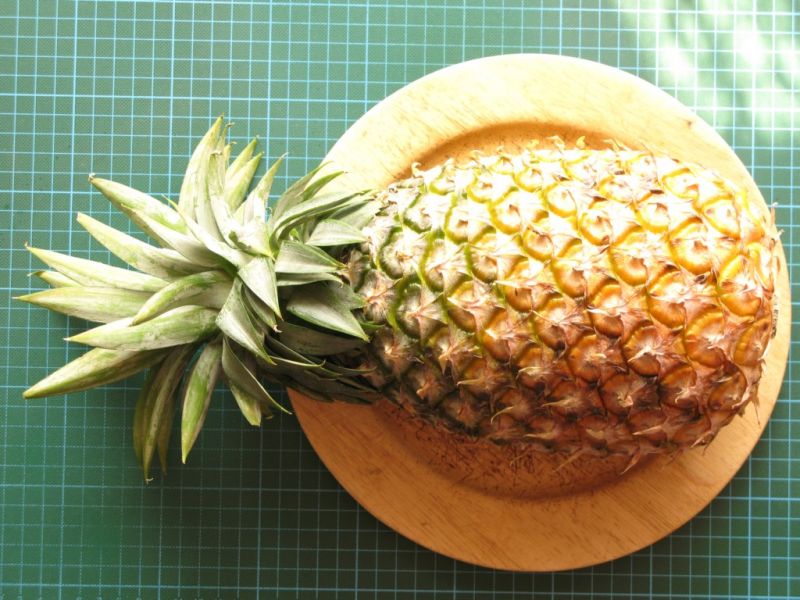 Datei:Ananas Cayenne.JPG