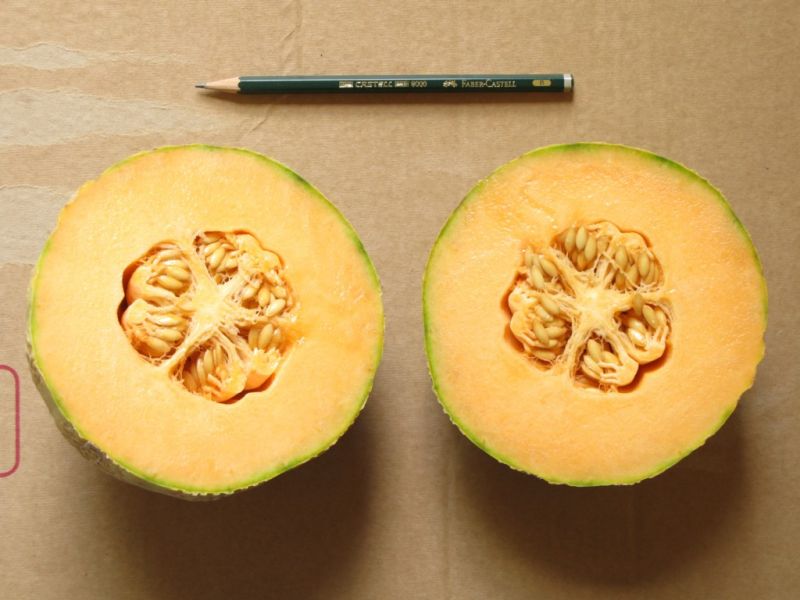 Datei:Honigmelone Charentais, angeschnitten.JPG