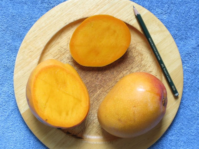 Datei:Mango Maya.JPG