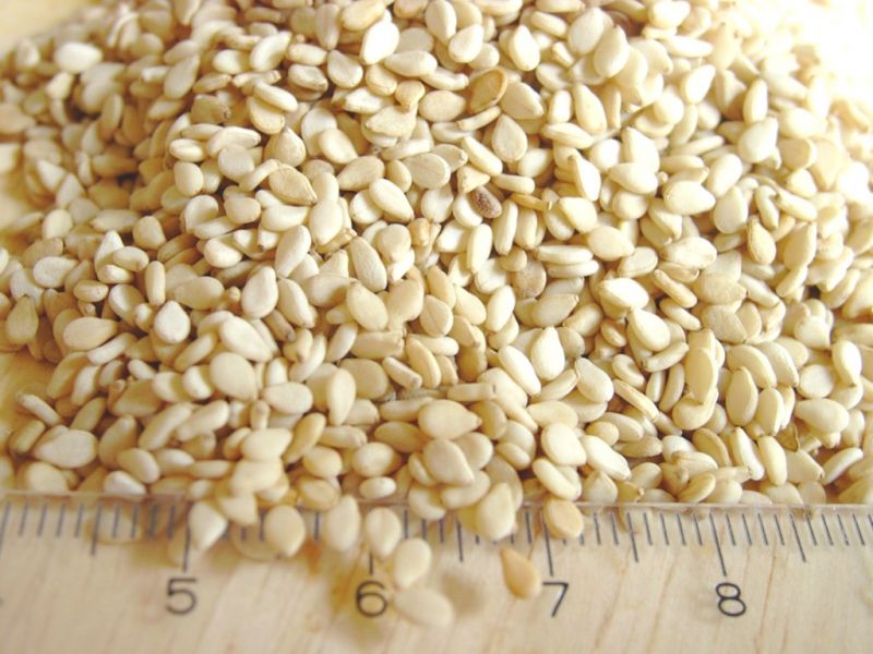 Datei:Sesam.JPG
