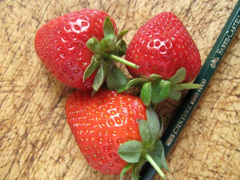 Datei:Erdbeere, Fruechte.JPG