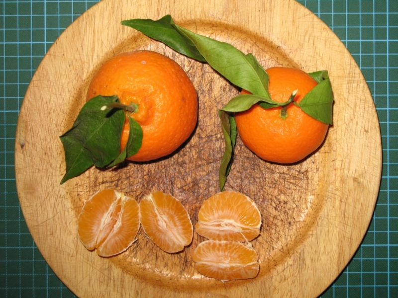 Datei:Clementine.JPG