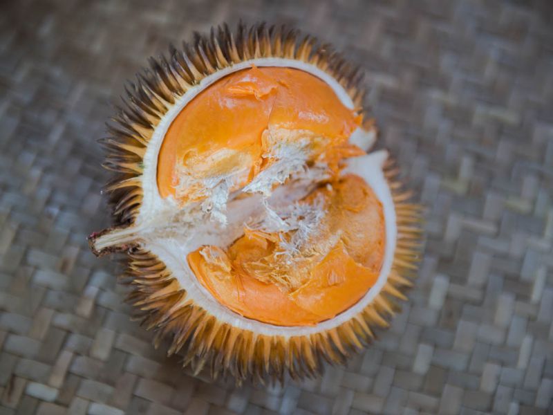 Datei:Durio graveolens, orangefleischig.jpg