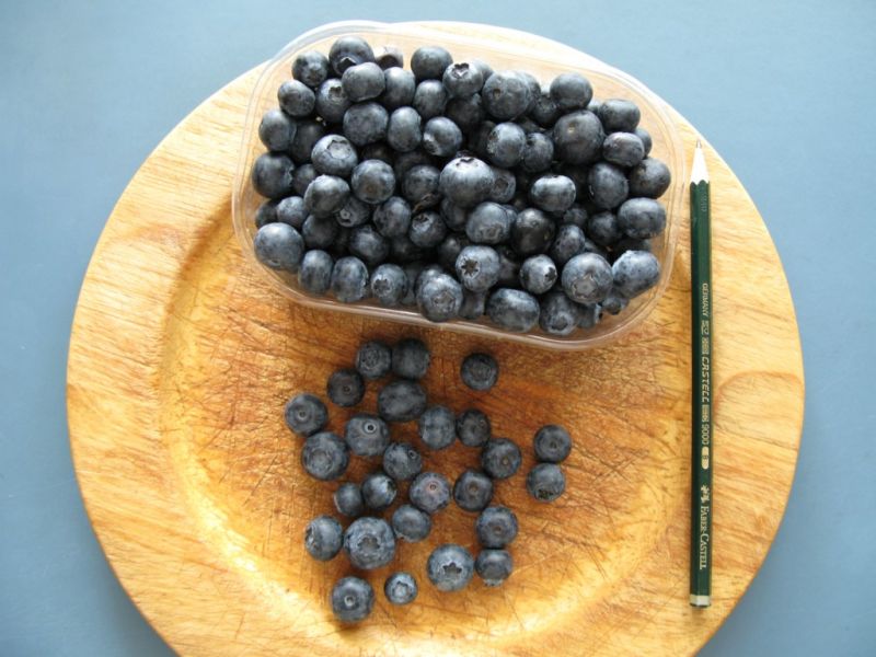 Datei:Heidelbeeren.JPG
