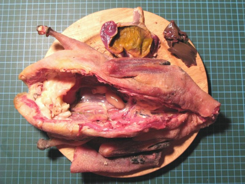 Datei:Ente, Innereien.JPG