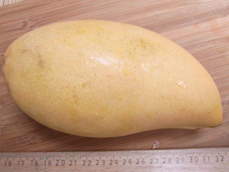 Datei:Mango Nam Dok Mai.JPG