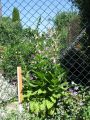 Vorschaubild der Version vom 13:26, 22. Jun. 2013