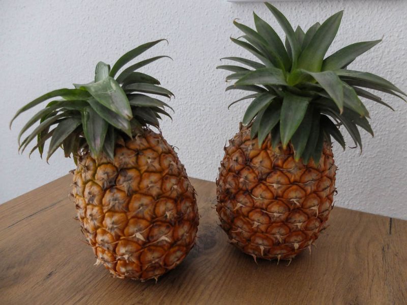Datei:Ananas, ganze Fruechte.jpg