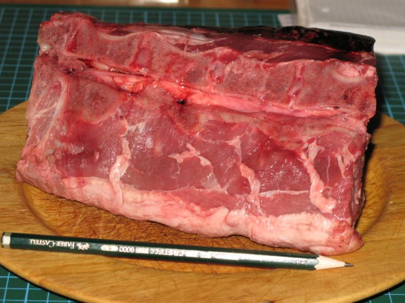 Datei:Wildschwein, Seite (2).JPG