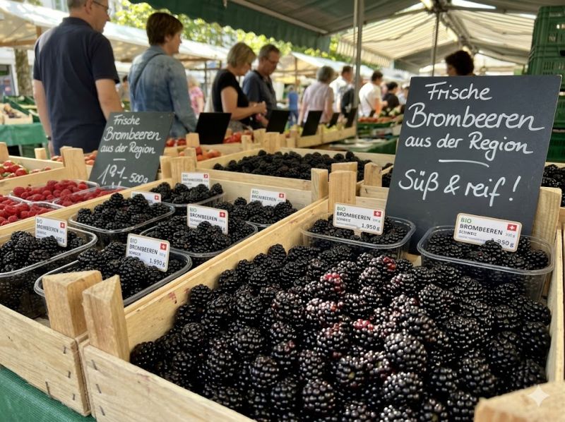 Datei:Brombeeren im Verkauf.jpeg