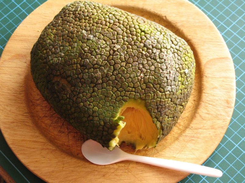 Datei:Brotfrucht.JPG