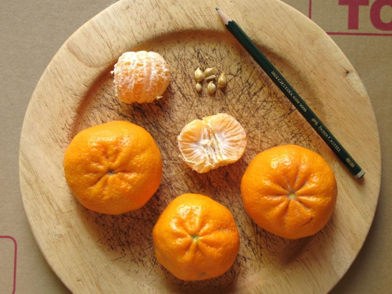 Datei:Mandarine.JPG