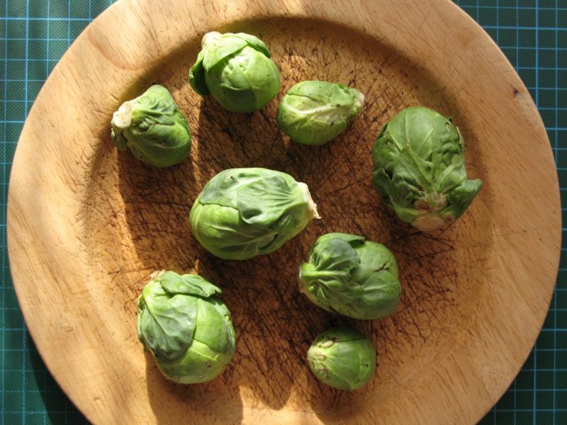Datei:Rosenkohl.JPG