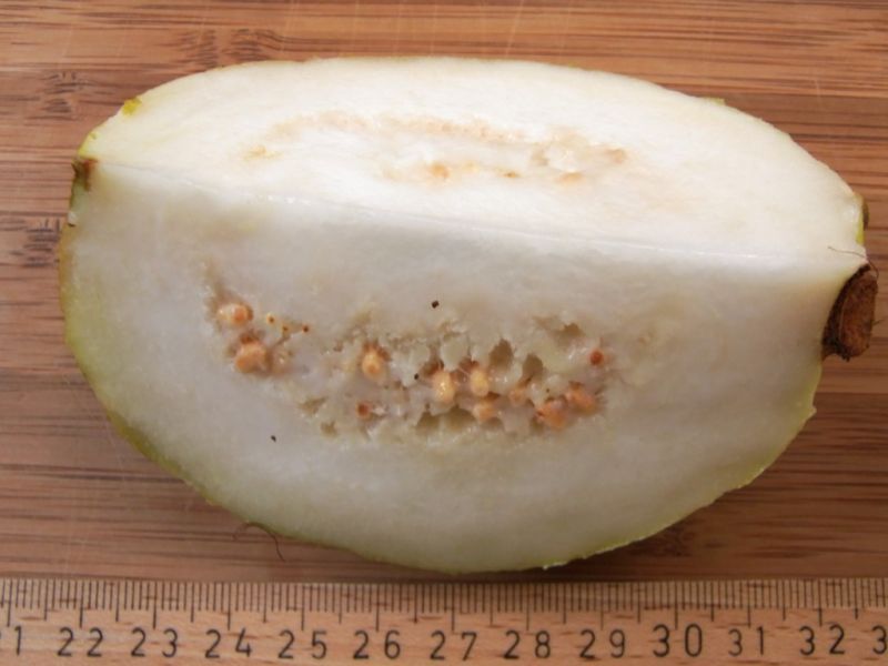Datei:Guave, Fruchtinneres.JPG