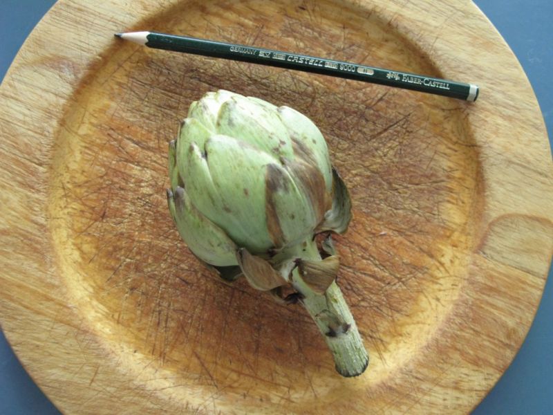 Datei:Artischocke, Bluetenknospe.JPG