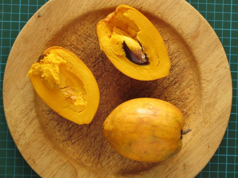 Datei:Sapote Amarillo.JPG