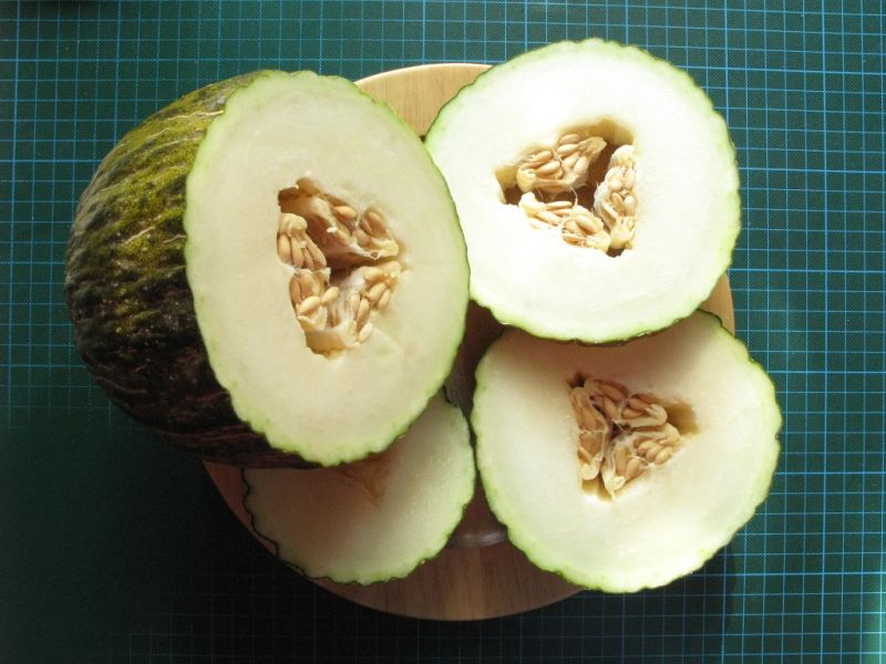 Datei:Honigmelone Piel de Sapo, angeschnitten.JPG