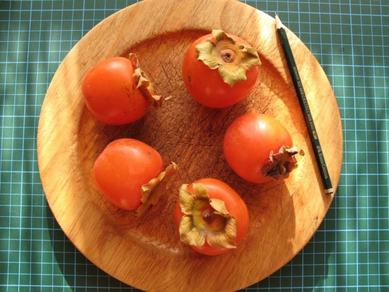 Datei:Kaki.JPG