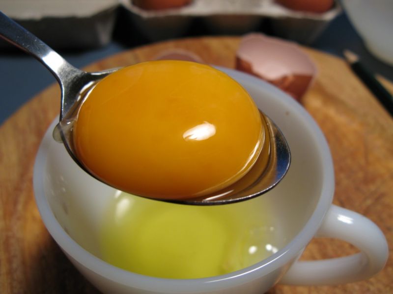 Datei:Huehnerei, Eigelb.JPG