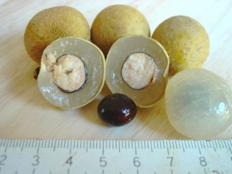 Datei:Longan, Frucht .JPG