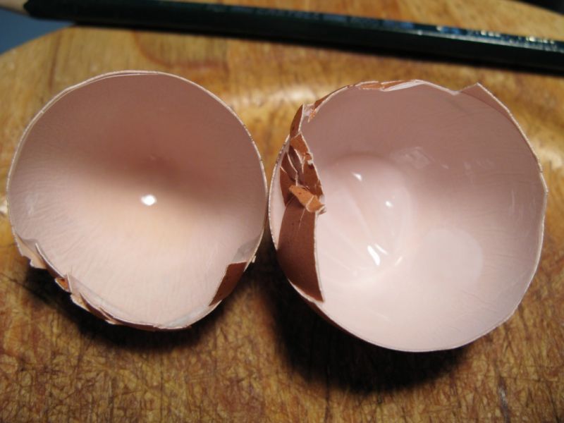 Datei:Huehnerei, Schale.JPG