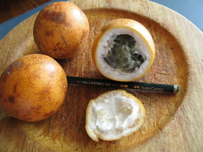 Datei:Grenadille.JPG