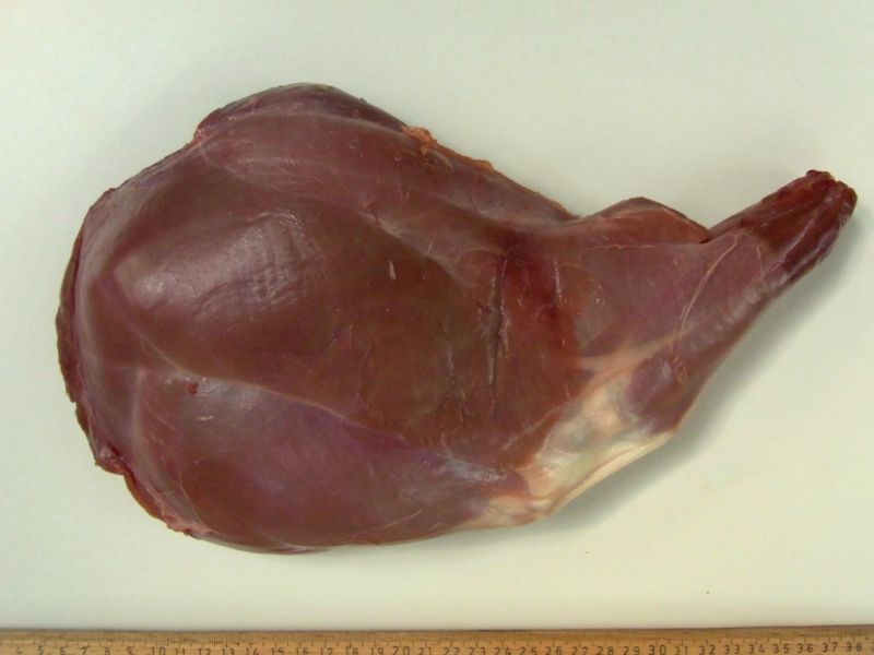 Datei:Rehwild, Keule.JPG