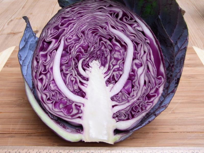 Datei:Rotkohl, halbiert.JPG