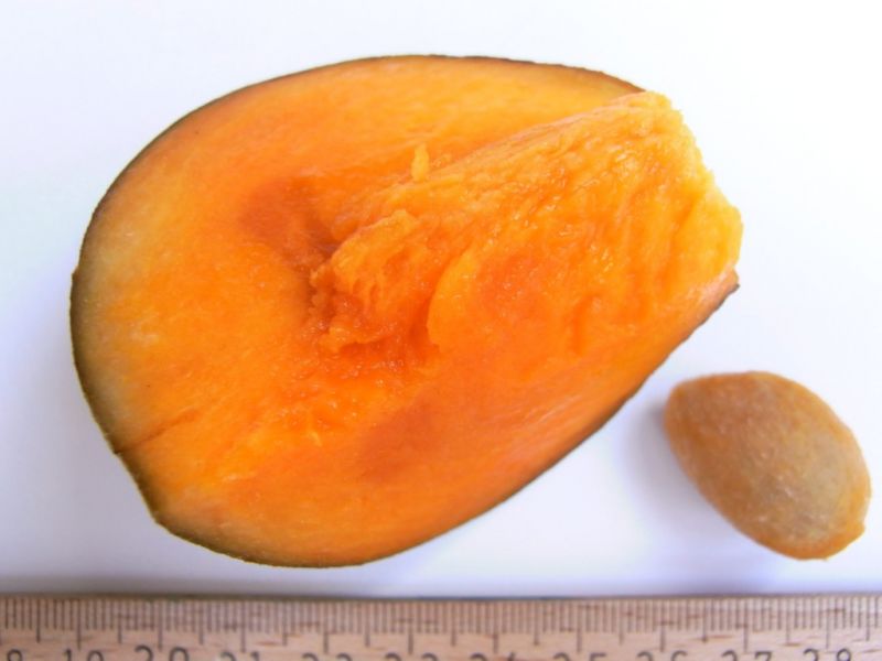 Datei:Sapote Chupa, Fruchtfleisch und Kern.JPG
