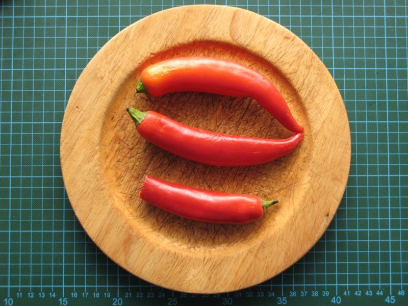 Datei:Peperoni, rot.JPG