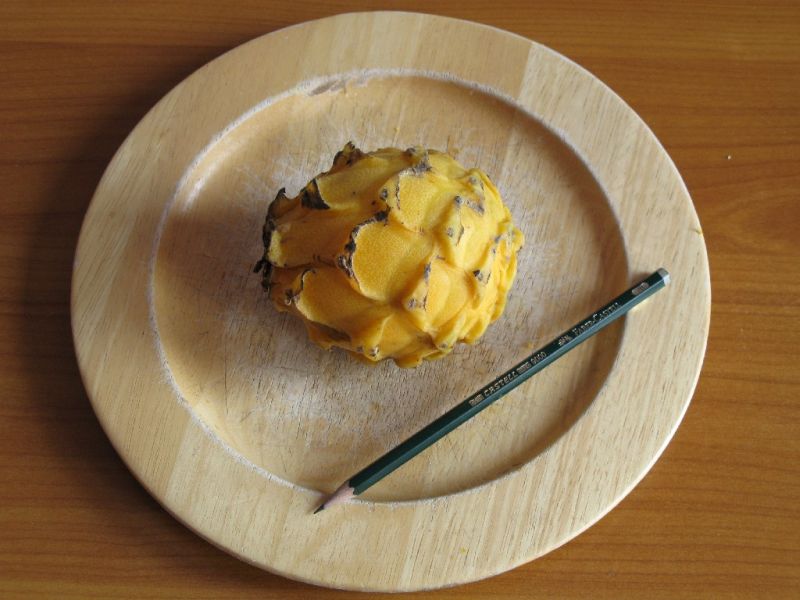 Datei:Pitahaya.JPG