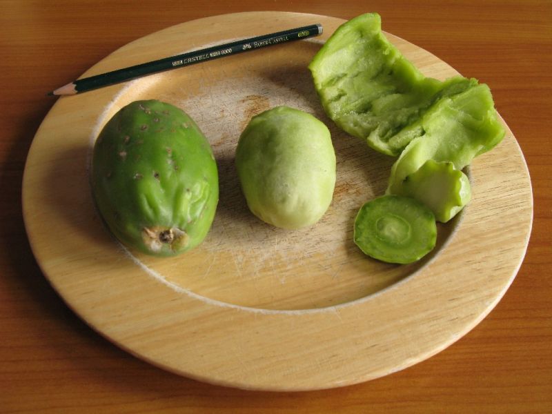 Datei:Kaktusfeige, gruen.JPG