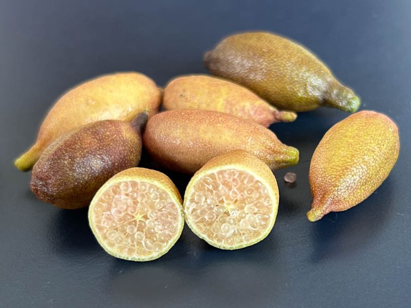 Datei:Fingerlimette.jpg