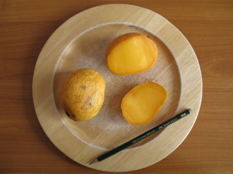 Datei:Mango Banilejos.JPG